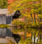 Covered bridge in fall
