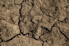 Torr jordbruksbrun jord