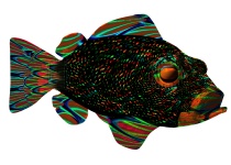 Fantasy Abstract Grouper Fish