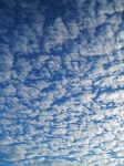 Flocky nuvole diffuse attraverso il ciel