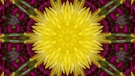 Floral Kaleidoscope background