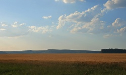 Grassland And Distant Mountains