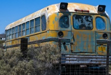 Школьный автобус Grunge