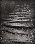 Escadas de caminhada