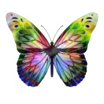 Papillon multicolore Op-Art