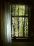 Pădurea artizanală pictată în fereastră