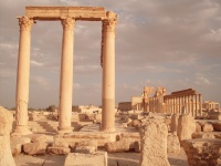 Palmyra, syrië, colonnade