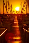 Sailboats at sunrise