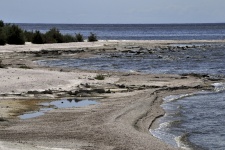 Берег Салтонского моря