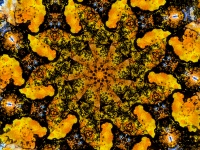 Spiral kaleidoscope background