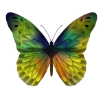 Farfalla verde di vetro di macchia