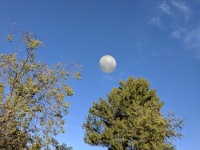 Toy Ball In The Sky