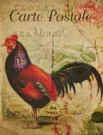 Carte postale française vintage de poule