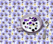 Yoghurt med blåbär
