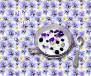 Yoghurt med blåbär 1