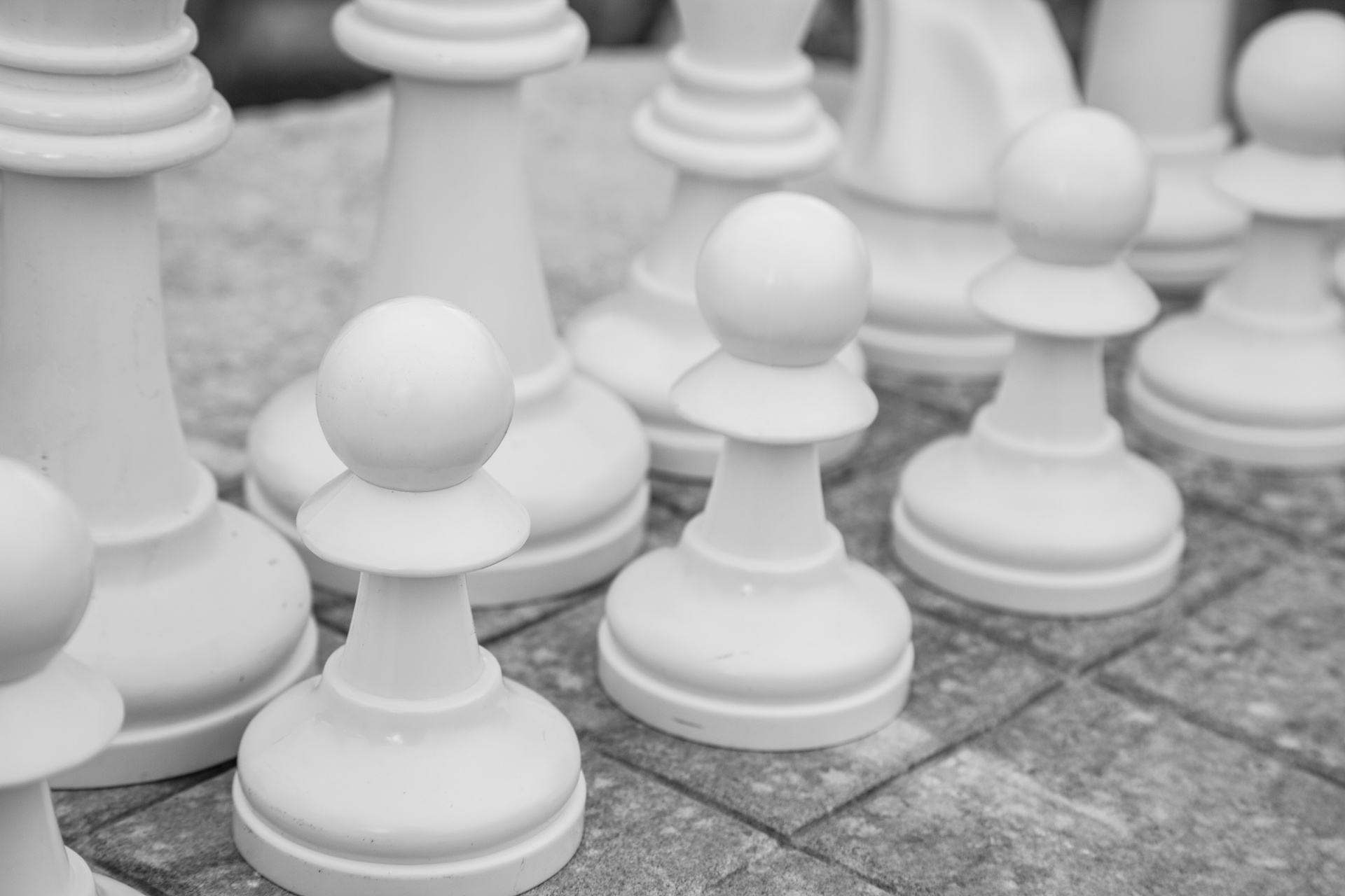 Chess Pieces Free Stock Photo Public Domain Pictures
