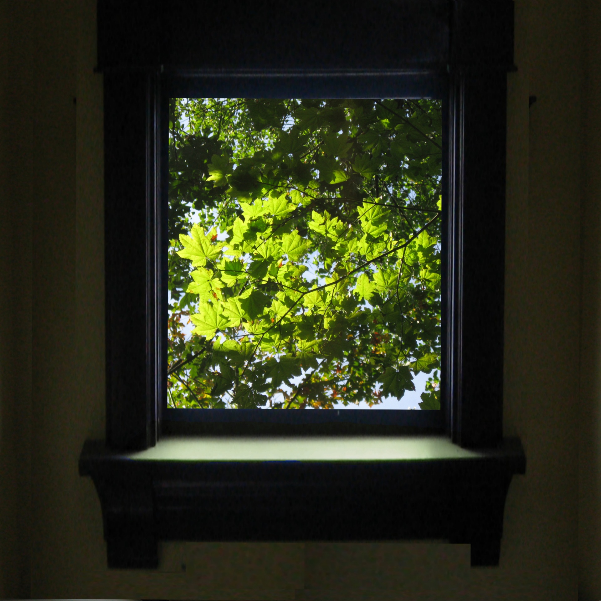 Green Forest Through Hall Window Free Stock Photo - Public Domain Pictures