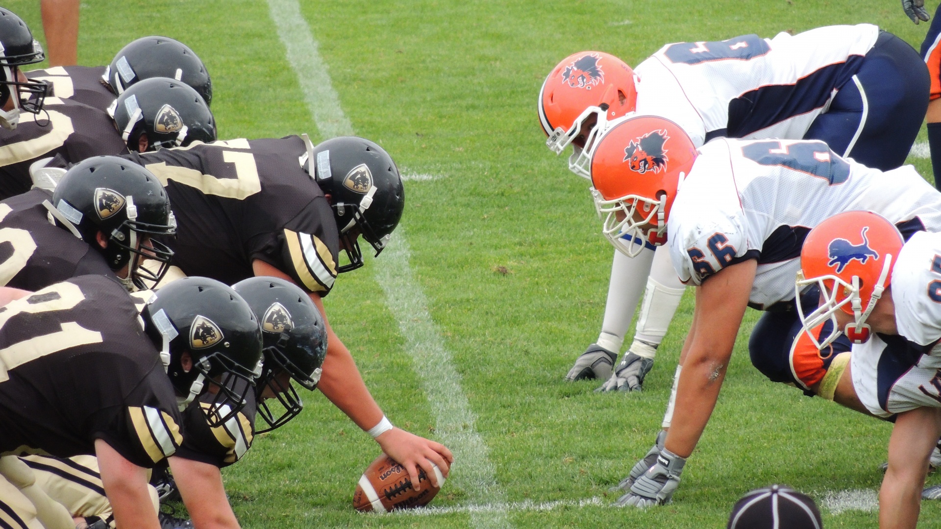 American Football Free Stock Photo Public Domain Pictures
