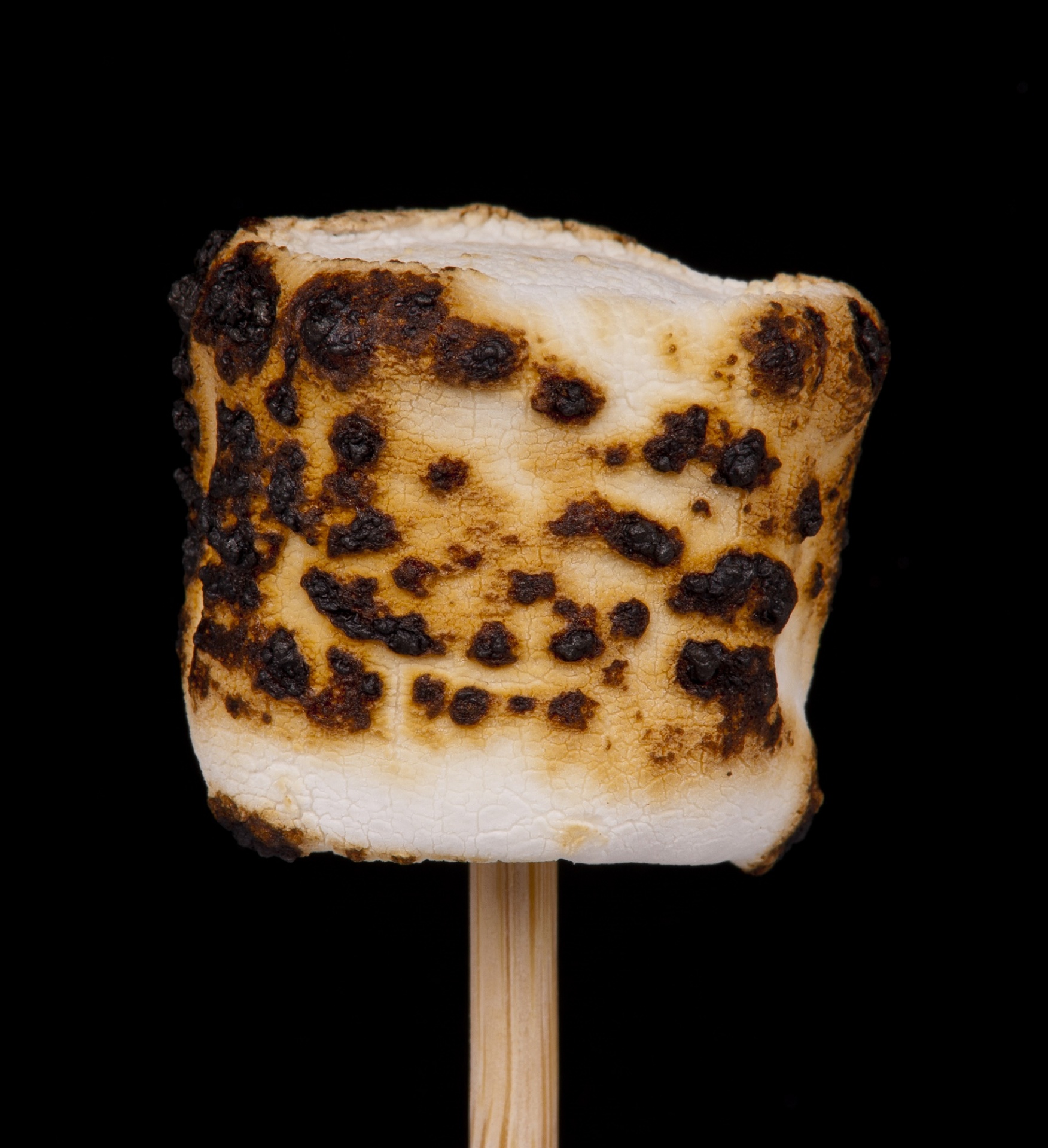 Roasted Marshmallow Free Stock Photo - Public Domain Pictures