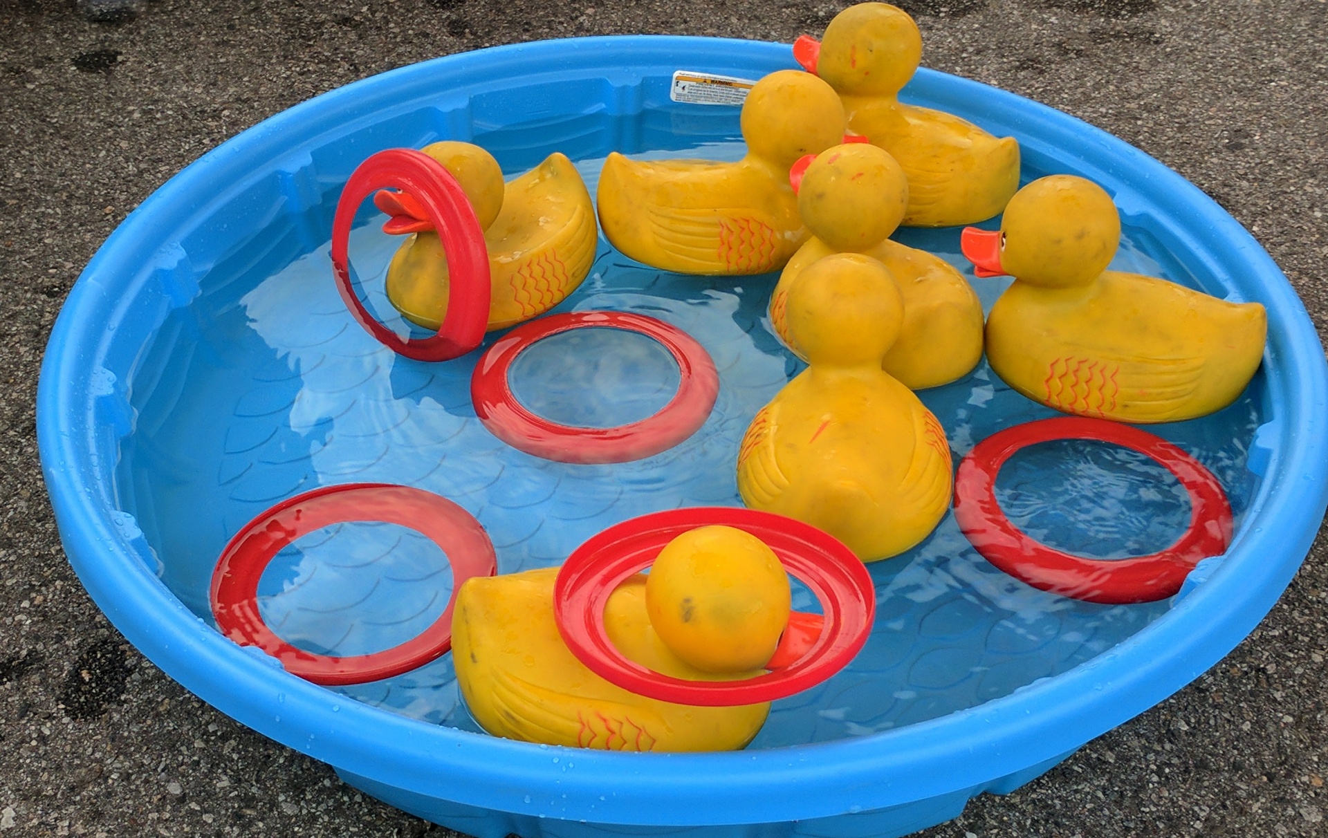Duck Race Carnival Game