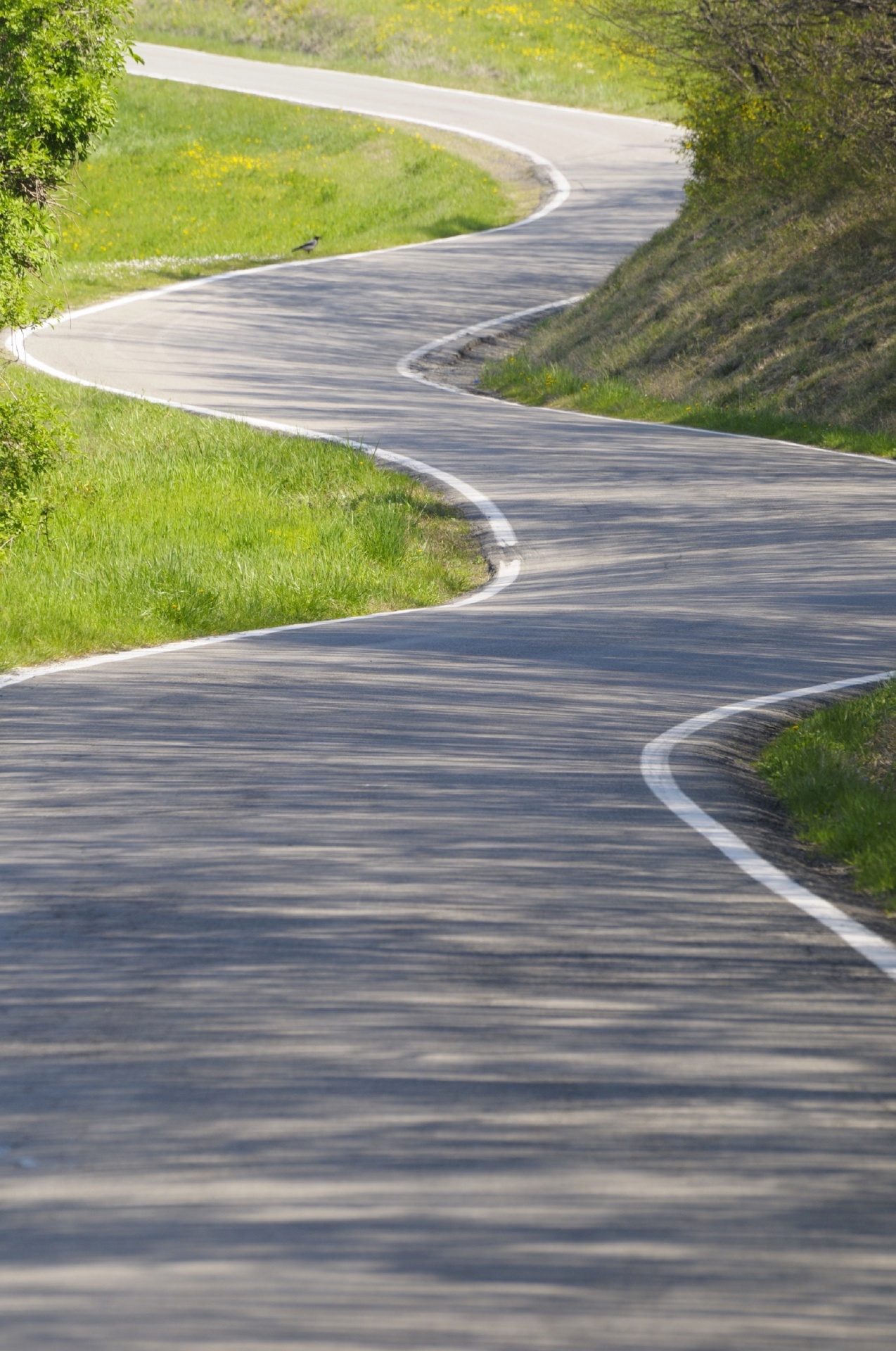 Winding Road Free Stock Photo - Public Domain Pictures