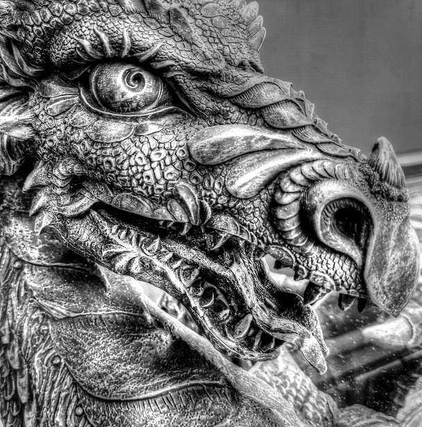 ドラゴンヘッド 無料画像 Public Domain Pictures