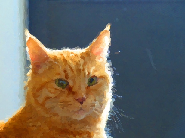 印象派生姜猫免费图片 Public Domain Pictures