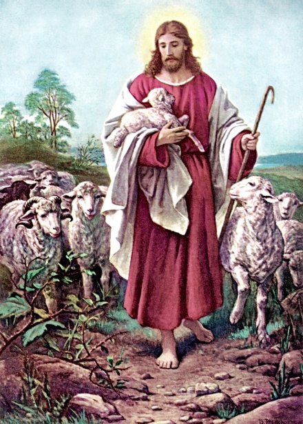 Jesus The Good Shepherd Free Stock Photo - Public Domain Pictures