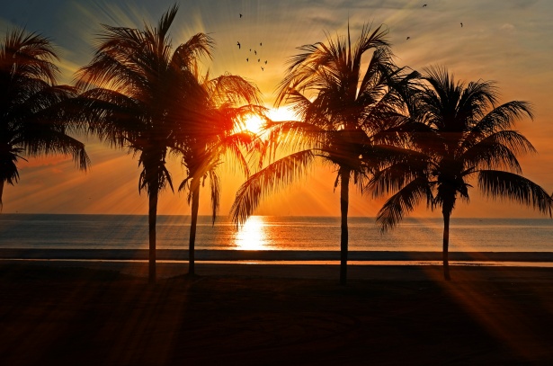 Tropical Sunset Photo stock libre - Public Domain Pictures