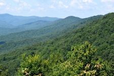 Appalachian hory