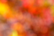 Herbstfarben Hintergrund