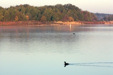 Autumn Morning At The Lake