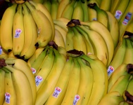 Bananas à venda