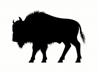 Silhueta do bisonte
