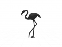 Black flamingo