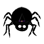 Zwarte spin