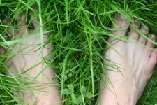 Piedi nudi sull'erba verde