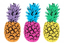 Ananas colorés illustrés