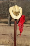 Cowboy Hoed En Bandana Op Omheining