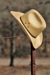 Chapeau de cow-boy sur fil de fer barbel