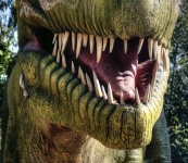 Dinosaurier Gesicht