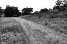 Dirt road in black and white