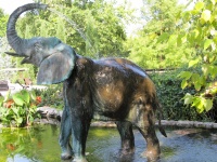 Elephant Fountain