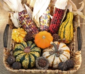 Fall Harvest 2