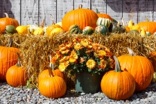 Fall harvest display