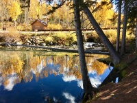 Fallen Tree Mirror Lake