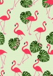 Flamingo tapety vzorek bezešvé