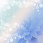 Floral Background with Bokeh