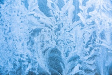 Frost Pattern Background