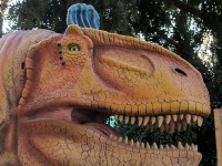 Giganotosaurus Dinosaurus